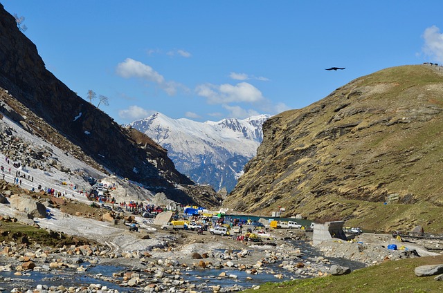 delhi to shimla distance